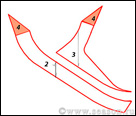 _7