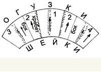 4__