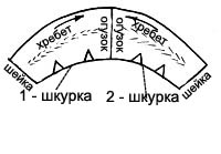 2__