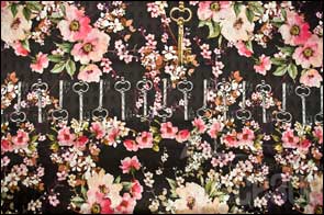   Dolce&Gabbana